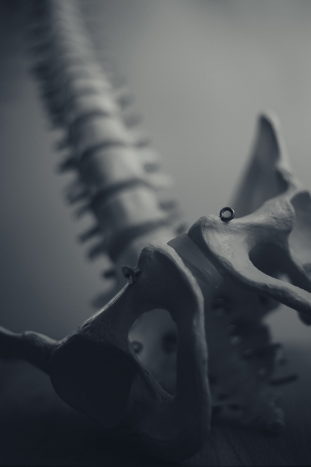 Pelvic